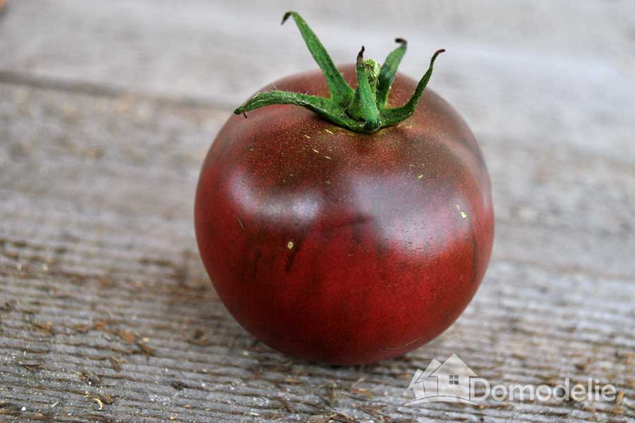 Плод томата Черный русский 